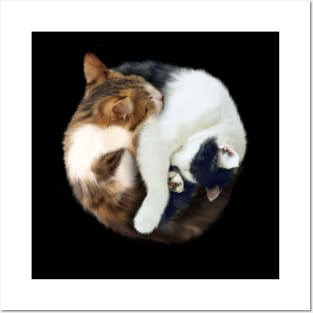 Yin Yang, Cats Cat Lover Kitten,  Chinese Symbol Posters and Art